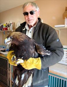 Brad & Eagle